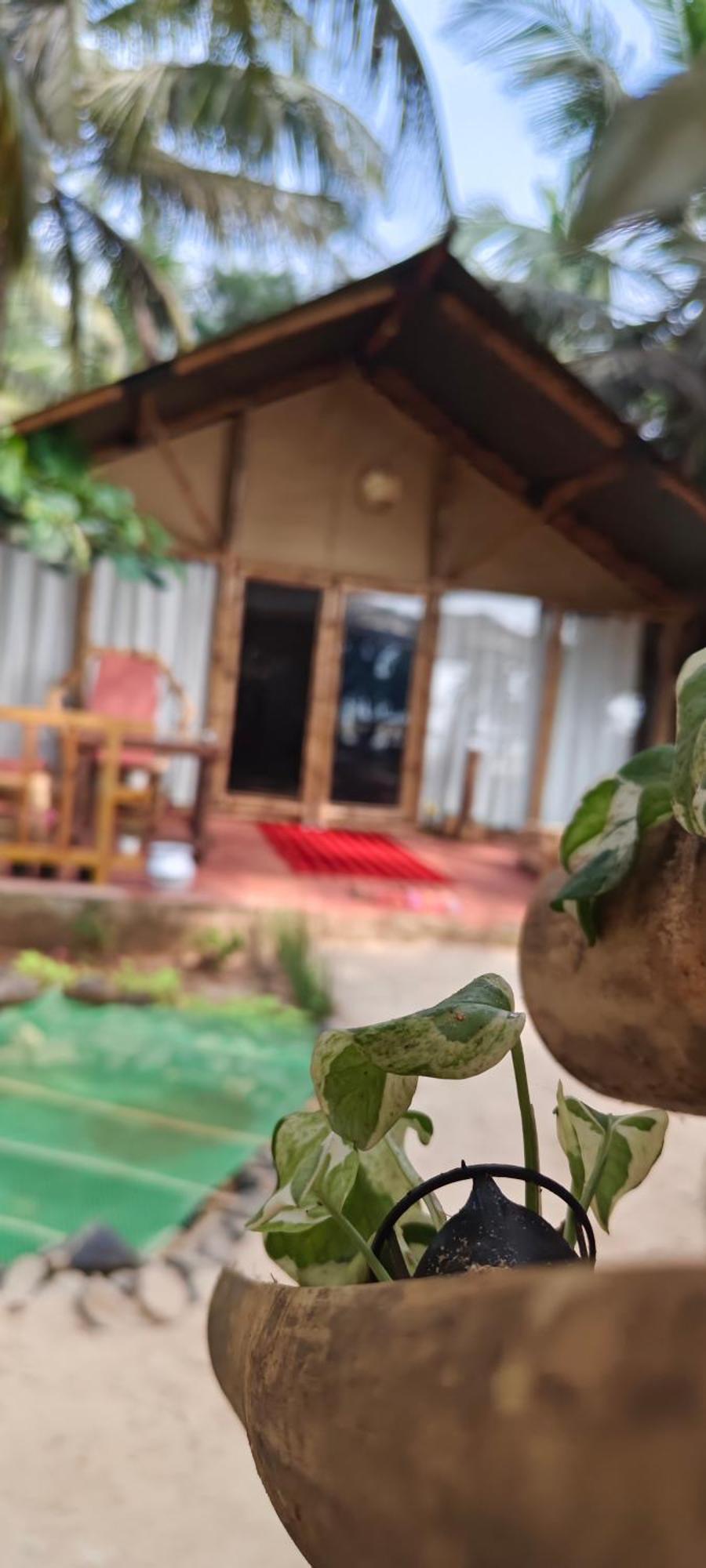 Te Amo Boutique Stays Kumta المظهر الخارجي الصورة